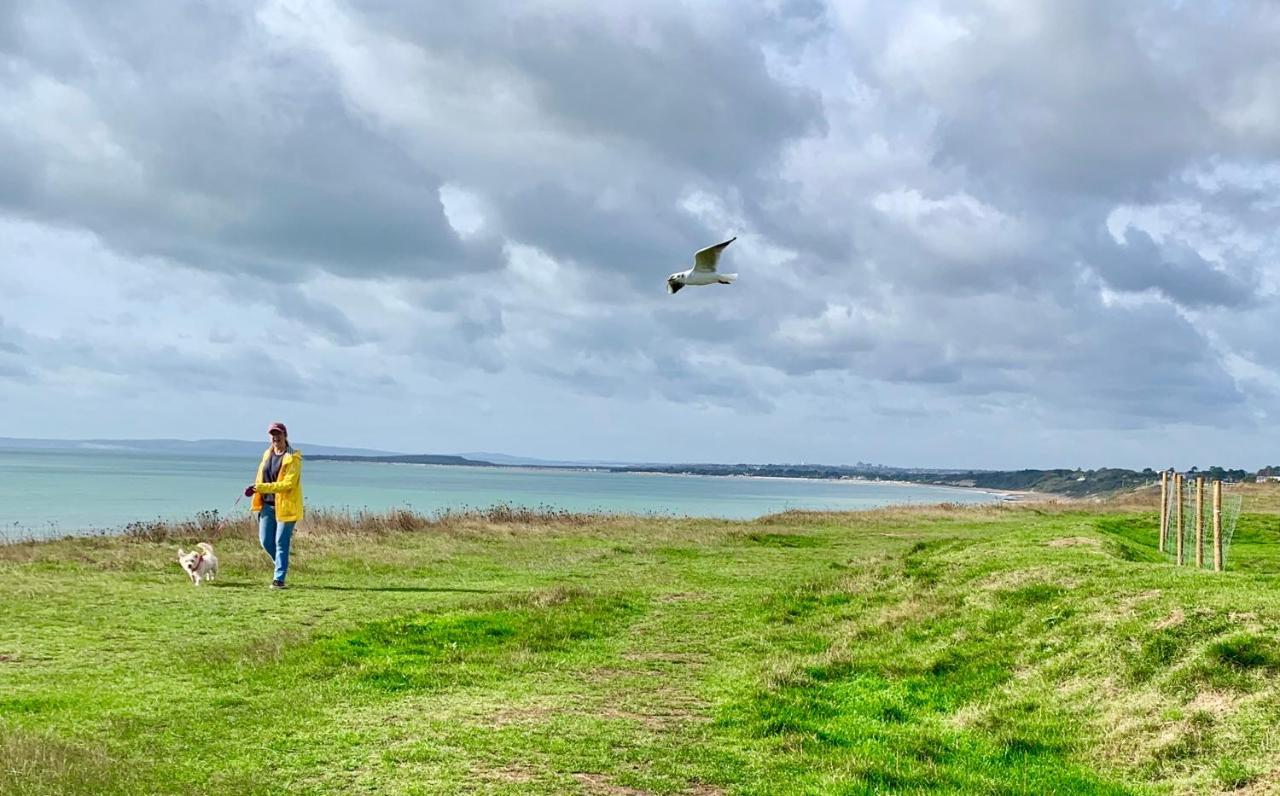 Shorefield Country Park, Where The New Forest Meets The Sea, Passes For All Entertainment Included Milford on Sea Extérieur photo