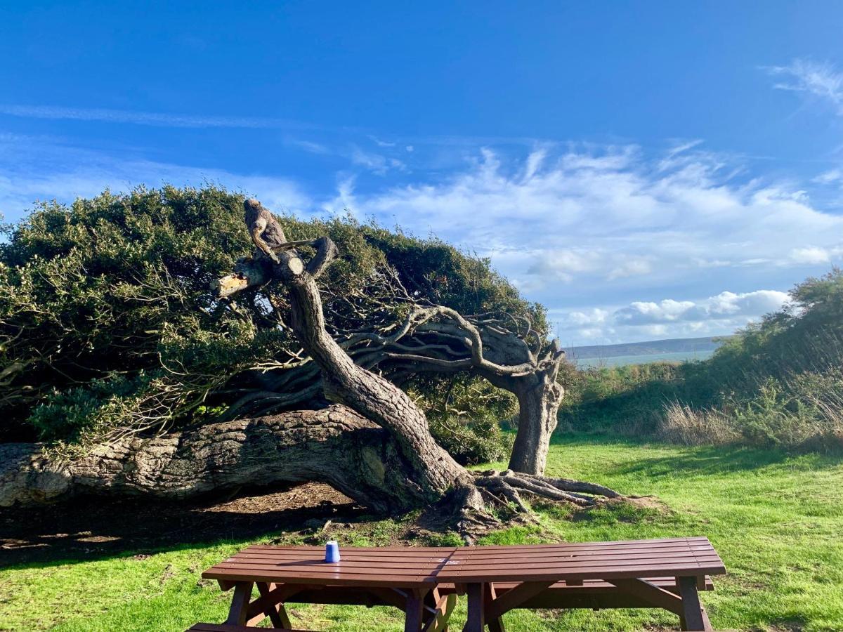 Shorefield Country Park, Where The New Forest Meets The Sea, Passes For All Entertainment Included Milford on Sea Extérieur photo
